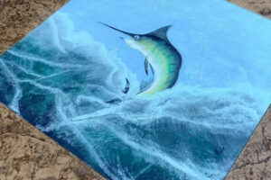 Sailfish